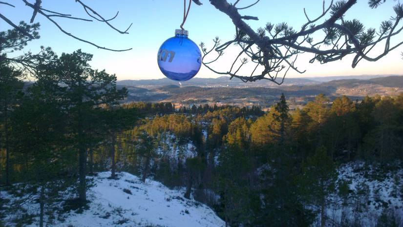 20150104_journal_whereOliveTookHisBall